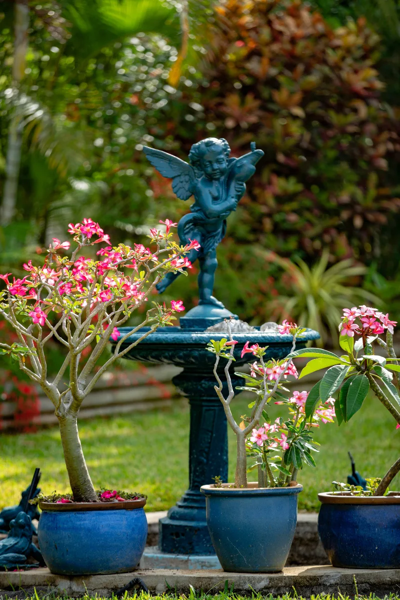 Statue et fontaine fleurie du jardin — Villa Myriam