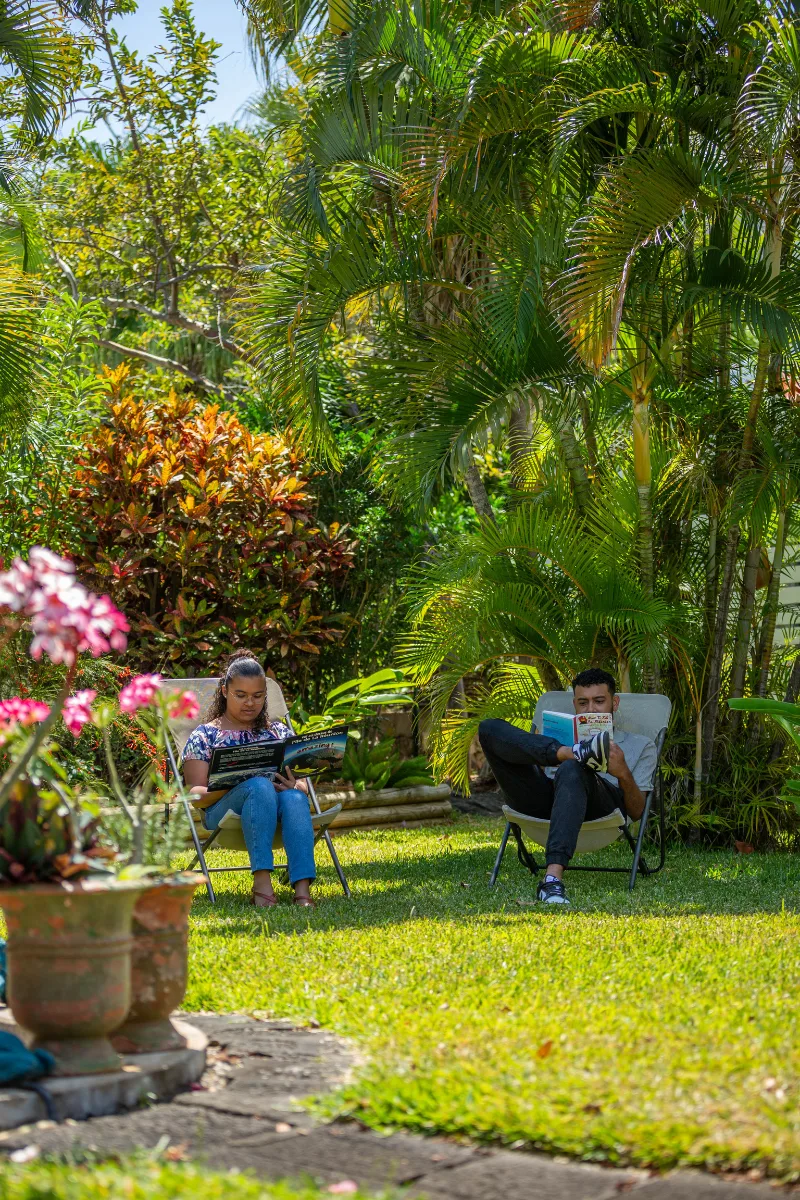 Frangipanier en fleurs — Villa Myriam