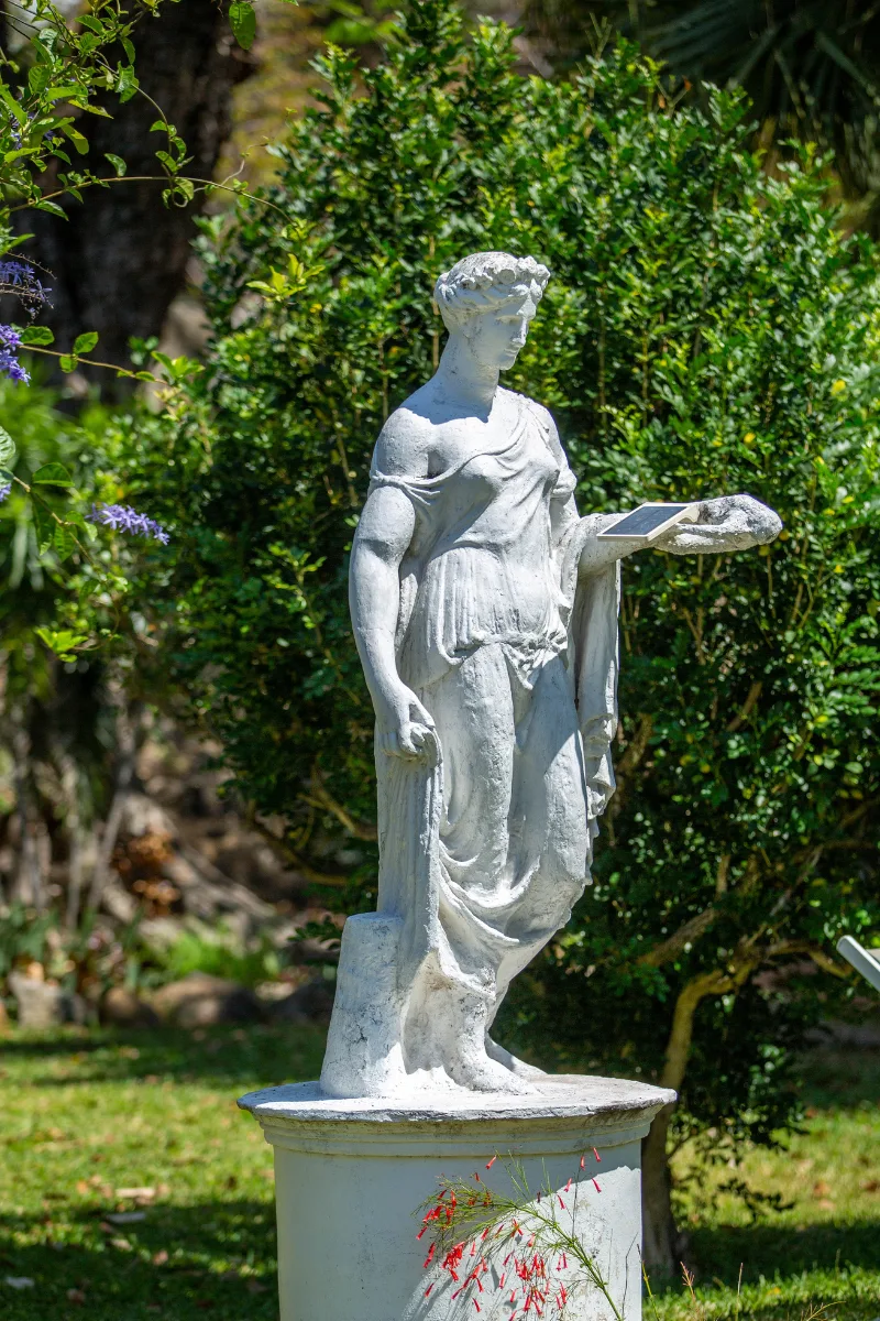Allée du jardin tropical — Villa Myriam