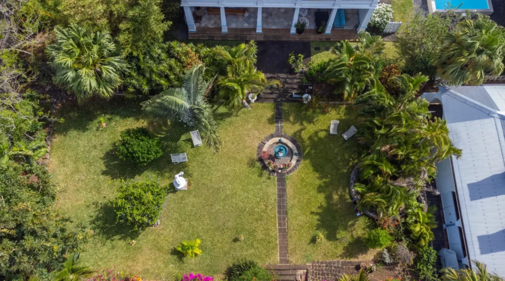 Le jardin tropical vu de l’étage